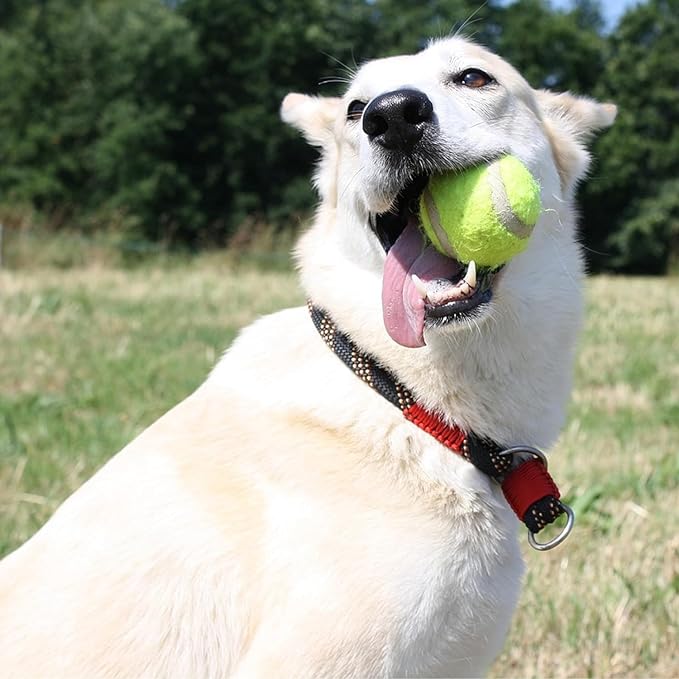 Automatic Dog Ball Launcher,Interactive Dog Tennis Ball Throwing Machine,Interactive Dog Ball Indoor&Outdoor Thrower Distance 10-30ft for Small and Medium Dogs with 6 x 2 inch Balls(Orange)