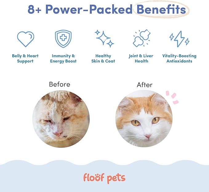 8 in 1 Cat Multivitamin Treats - 160 Chews - Vitamin Supplement Treats with Probiotics for Comprehensive Feline Health - Formulated with Alaskan Salmon Oil, Glucosamine, and CoQ10