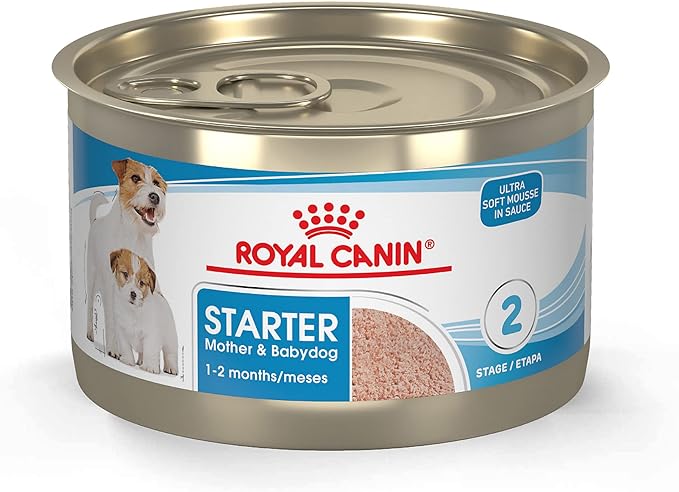 Royal Canin Size Health Nutrition Small Mother & Babydog Starter Mousse in Sauce Wet Dog Food, 5.1 oz can (24-count)