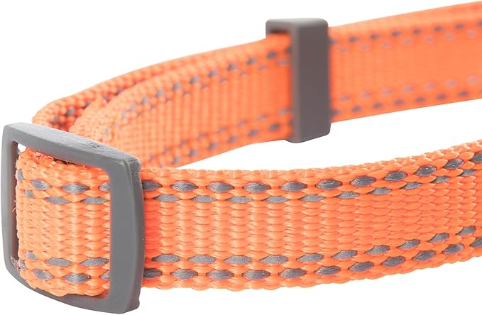 Browning Classic Preformance Webbing Pet Collar, Fully Adjustable, Available in Solid Colors and Camo Patterns, Safety Orange, Small