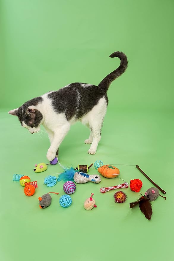 Cattraction with Silver Vine & Catnip Cat Toy Variety Pack, 20 Count