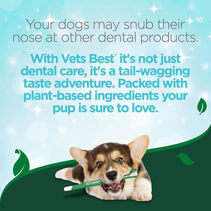 Vet's Best Enzymatic Dog Toothpaste - Teeth Cleaning and Fresh Breath Dental Care Gel - Vet Formulated - 3.5 oz Tubes (12 pack)