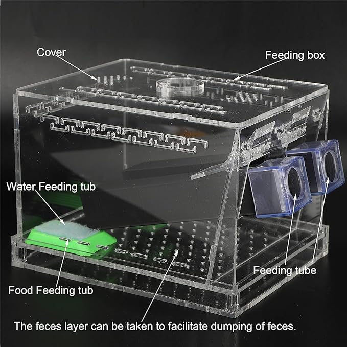 Cricket Keeper, Acrylic Feeding Cricket Keeper with Tubes Feces Layer, Easy to Clean Cricket Care Kit for Observation of Breeding(L)