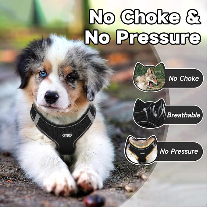 Supet Cat Harness and Leash Set for Walking Cat and Small Animal Harness Soft Mesh Puppy Harness Adjustable Cat Vest Harness with Reflective Strap