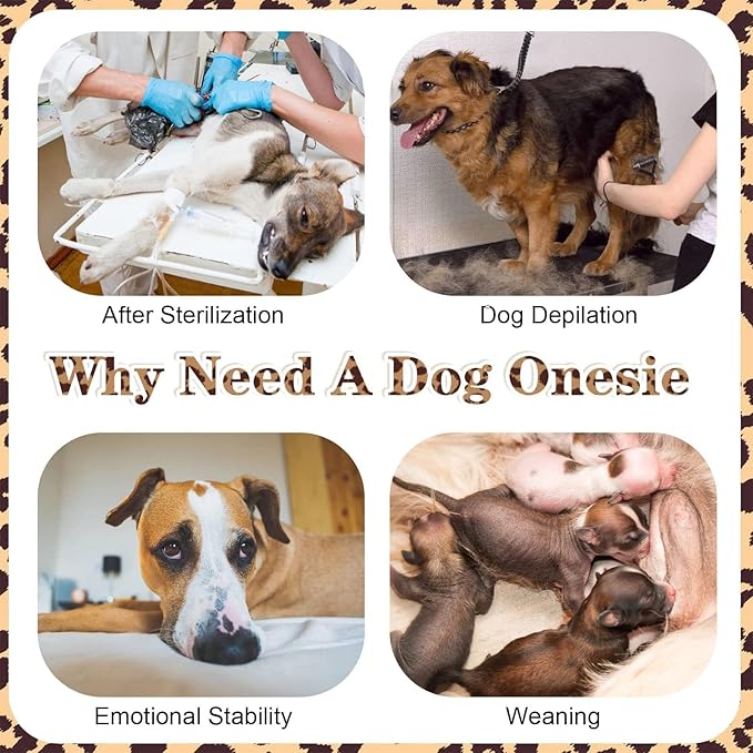Kuoser Dog Surgery Recovery Suit, Recovery Suit for Female Male Dogs, Dog Onesie After Surgery Spay Neuter, Anti-Licking Pet Surgical Recovery Snugly Suit, Bodysuit for Abdominal Wounds Skin Disease