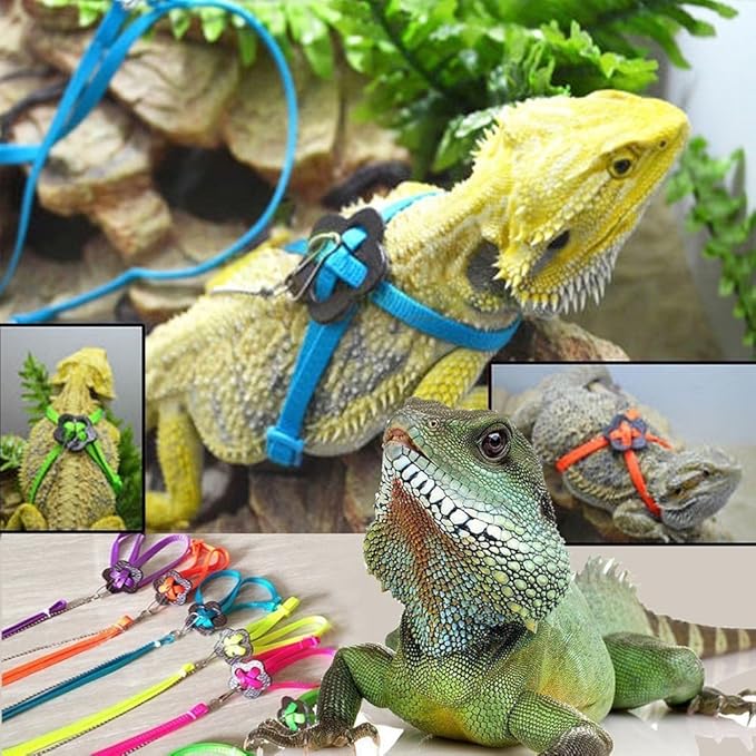 Hypeety Reptile Lizard Outdoor Walk Adjustable Harness Leash Anti-bite Light Soft Bearded Dragon Accessories Parrot African Grey Cockatoo Macaw Ringneck Outside Free Lovebird Supplies (Random Color)