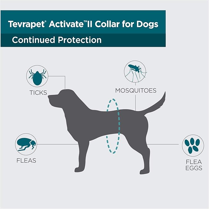 TevraPet Activate II Flea and Tick Collar for Dogs, 12 Months Prevention, 2 Count, One Size Fits All