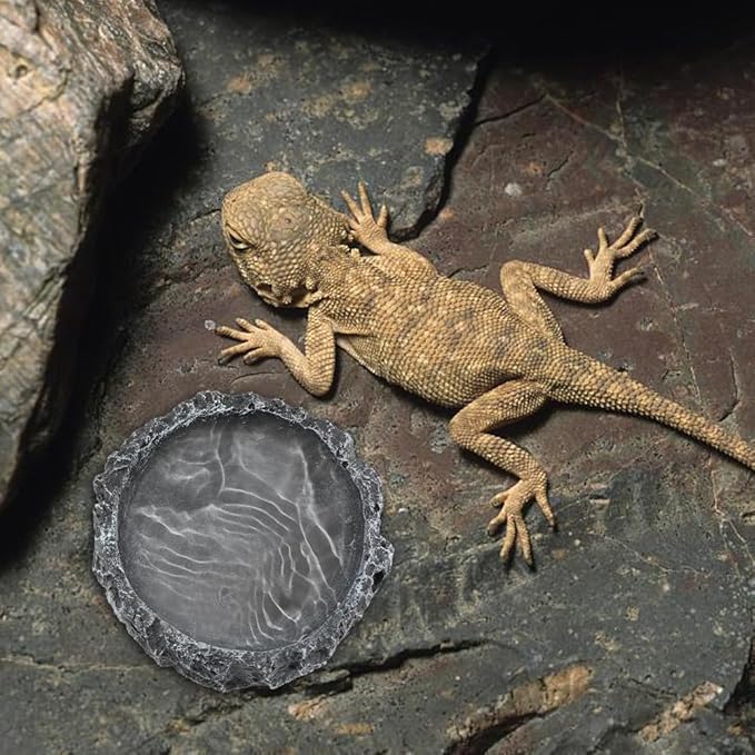 Reptile Bowls, 2 Pcs Reptile Feeding Dish with Clamp & Shovel, Resin Rock Reptile Water & Food Bowls, Amphibian Reptile Feeding Terrarium Bowls for Gecko Lizard Spider Scorpion Chameleon