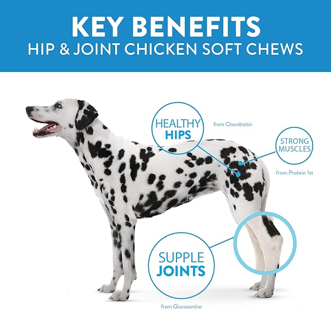 Dogswell Hip & Joint Chicken Soft & Chewy - 14 oz.