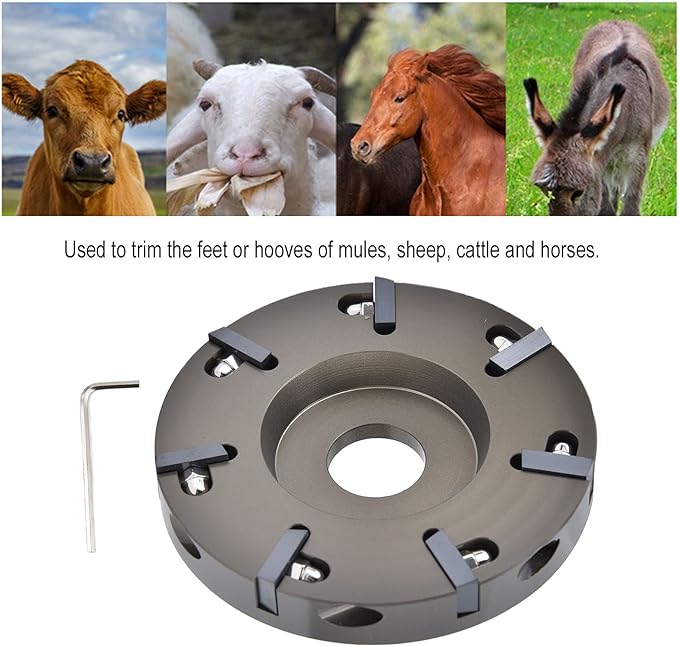 Electric Hoof Tool, Cow Hoof Trimming Disc Plate Electric Hoof Trimming Cutter Tool for Livestock Sheep Cattles Horses Supplies