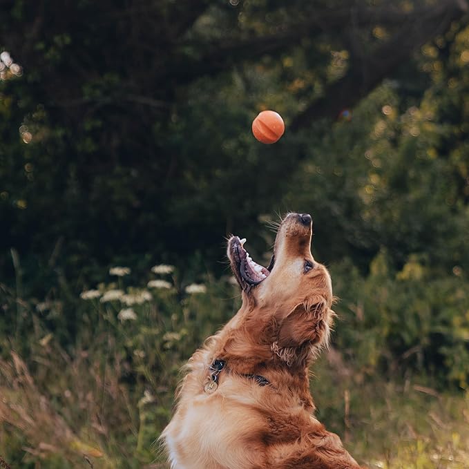 Beco Natural Rubber Outdoor Bouncy Play Ball for Dogs & Puppies, Fetch & Launcher Compatible, Bright Visible Orange