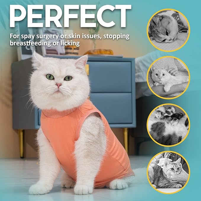 Avont Cat Recovery Suit - Kitten Onesie for Cats After Surgery, Cone of Shame Alternative Surgical Spay Suit for Female Cat, Post-Surgery or Skin Diseases Protection -Coral(L)