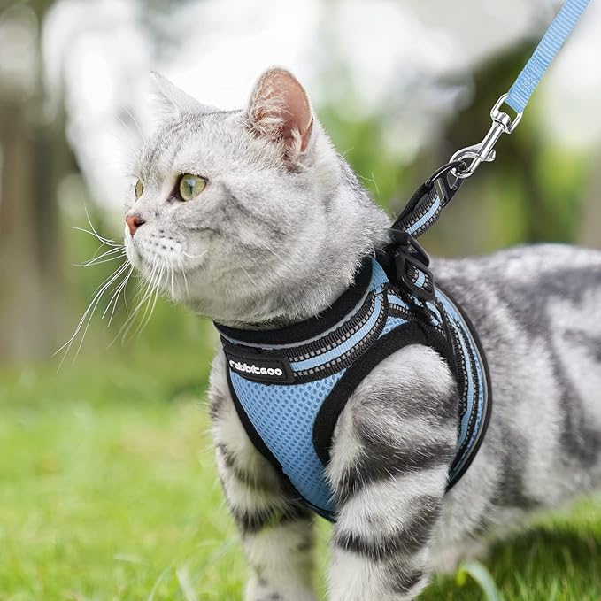 rabbitgoo Cat Harness and Leash Set for Walking Escape Proof, Adjustable Soft Kittens Vest with Reflective Strip for Cats, Comfortable Outdoor Vest, Light Blue, S