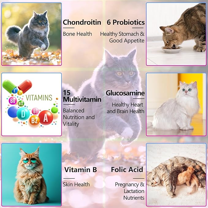 Cat Multivitamin - 15 in 1 Multivitamin Drops for Cats, Cat Supplements Vitamins with Glucosamine & MSM Supports Joint Care, Skin & Coat, Pets Supplies Vitamins for Cats, Bacon Flavor - 2 Fl Oz / 60ml