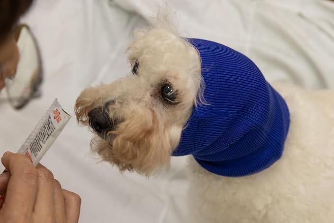 Dog Bonnet Ear Covers Pet Grooming Ear Cover Warmer Ear No Wrap Ear Flap Anxiety Hood for dogs Wine+Blue-M
