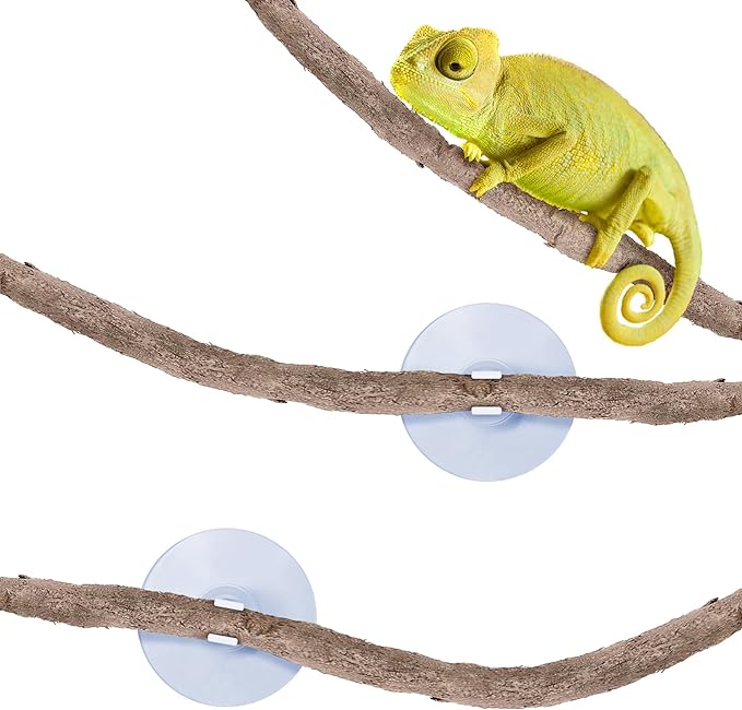 SunGrow 6 ft Reptile Vine for Terrarium, Flexible Climber Lizard Tank Decor, Ball Python Snake Climbing Accessories, Twistable and Bendable Habitat Decor Terrarium Vines for Chameleon, Bearded Dragon