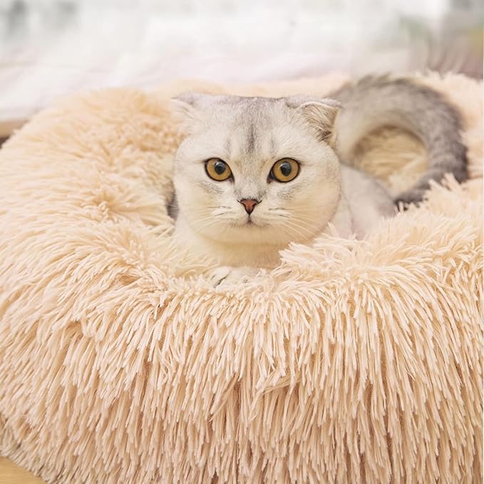 Cat Beds for Indoor Cats - Cat Bed Washable 24 inches, Dog Beds for Small Medium Dogs, Anti Anxiety Round Fluffy Plush Faux Fur Cat Bed, Thick Bottom (Large, Tan)