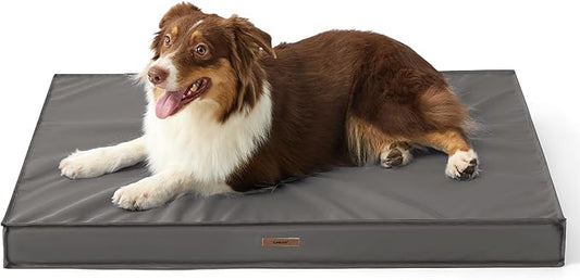 Lesure Waterproof Dog Bed for Medium Dogs - Outdoor Dog Bed with Oxford Fabric Surface, Medium Egg Orthopedic Foam Pet Bed with Removable and Durable Cover, Machine Washable