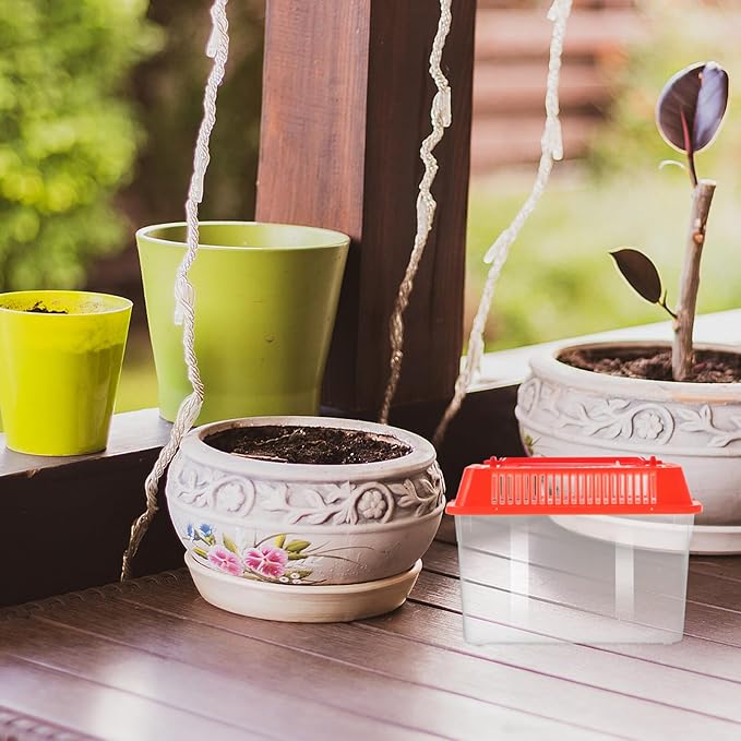 Baluue Portable Fish Tank, Handheld Fish Tank, Plastic Mini Fish Box, Transparent Cutout Design, Plastic Aquarium with Handle for Turtle and Pet Fish ((Red- Lid for Random))