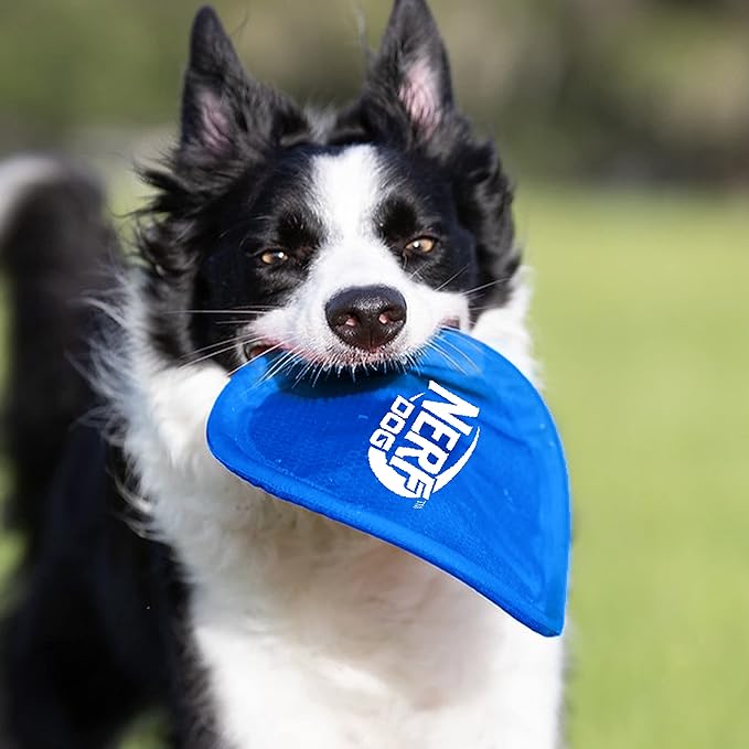 Nerf Dog Nylon Flyer Dog Toy, Flying Disc, Lightweight, Durable and Water Resistant, Great for Beach and Pool, 9 inch diameter, for Medium/Large Breeds, Single Unit, Blue