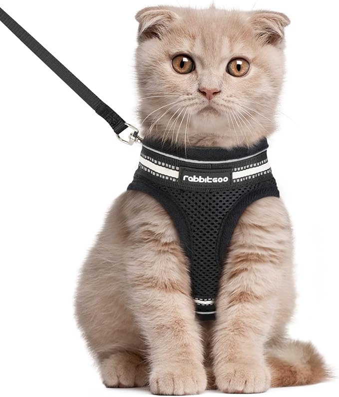 rabbitgoo Cat Harness and Leash Set for Walking Escape Proof, Adjustable Soft Kittens Vest with Reflective Strip for Cats, Comfortable Outdoor Vest, Black, L