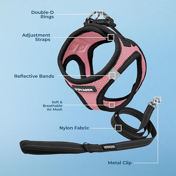 Voyager Step-in Air All Weather Mesh Harness and Reflective Dog 5 ft Leash Combo with Neoprene Handle, for Small, Medium and Large Breed Puppies by Best Pet Supplies - Pink/Black Trim, XXX-Small