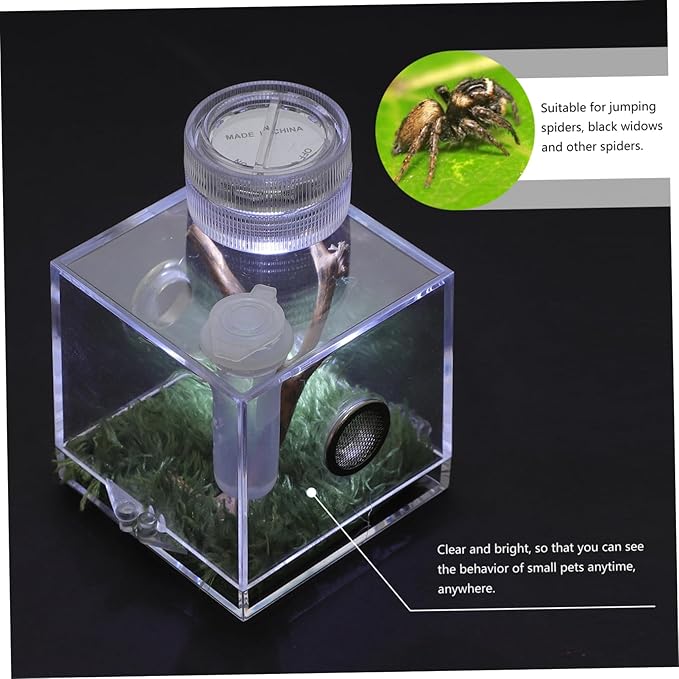 Mipcase 3pcs Box Jumping Spider Breeding Box Snail Spider Habitat Cage Jumping Spider Cage Jumping Spider Enclosure Small Humidifiers Spider Accessory Wood Little Spider Medium Acrylic