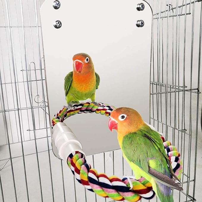 Bird Mirror with Rope Perch Bird Toys Swing, Bird Mirror for Cage,Bird Buddy Accessories,Comfy Perch,Bird Toys for Greys Amazons Parakeet Cockatiel Conure Lovebirds Finch Canaries