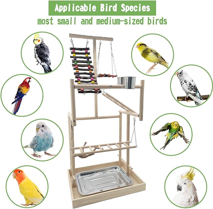Hamiledyi 4 Layers Large Bird Playground 32" H Pet Parrot Playstand Gym Perch Wood Playpen for Parakeets Lovebirds Conure Cockatiel Cockatoos Finch Budgies or Other Small and Medium-Sized Birds