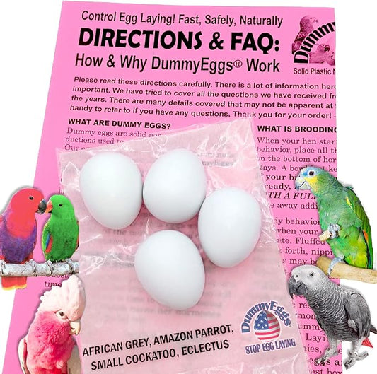 4 Medium Parrot Control Laying! 1.5" x 1.25" (3.7 x 3cm) Non-Toxic Solid Plastic Fake Bird Eggs African Grey, Eclectus, Azn, Small Cockatoo or Macaw. Ship Fast!