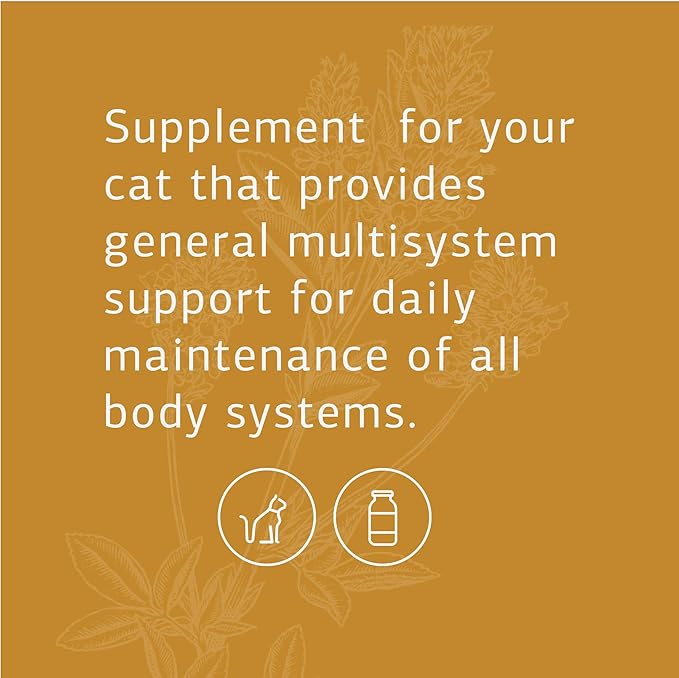 Standard Process Feline Whole Body Support - Nutritional Cat Supplement for Multisystem Support - Feline Daily Maintenance Supplement - 90 tablets