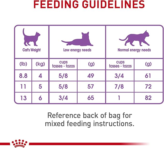 Royal Canin Appetite Control Spayed/Neutered Dry Adult Cat Food, 6 lb bag