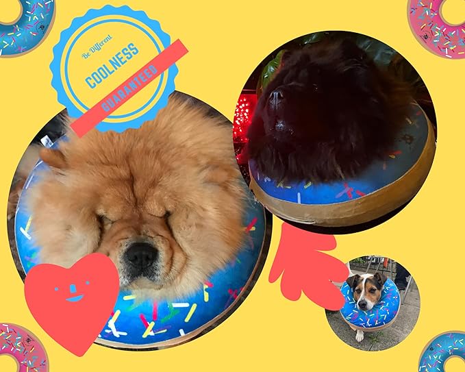 Dog Donut Collar | Great Alternative to a Traditional Dog Cone or a Soft Dog Cone Collar | Our Inflatable Dog Cone is an Excellent Cone for Dogs after Surgery | Dog Cones for Large Dogs (Blue)