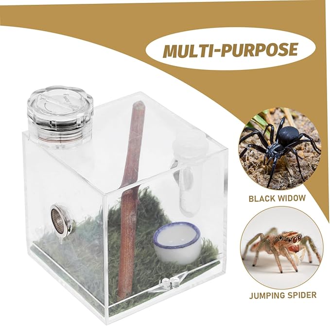 Mipcase 3pcs Box Jumping Spider Breeding Box Spider Habitat Box Spider Feeding Box Large Playpen Miniature Animals Tarantula Cage Tarantula Enclosure Accessories Spider Container