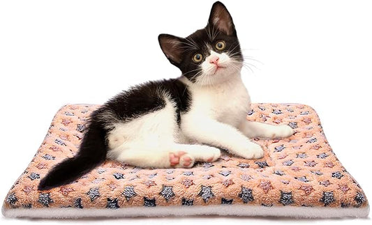 Fluffy Pet Cat Blanket Soft Coral Velvet Pet Puppy Cushion Mat Warm Cover Soft Pad Mat Beige S