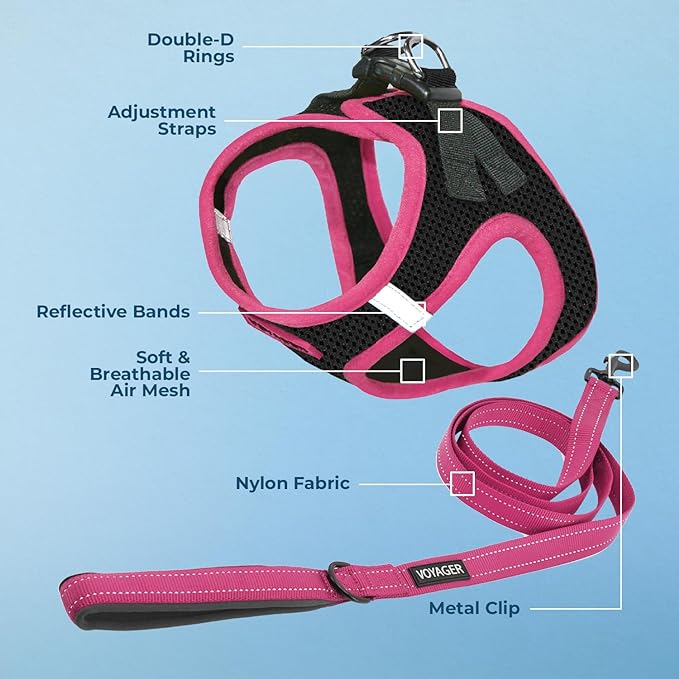 Voyager Step-in Air All Weather Mesh Harness and Reflective Dog 5 ft Leash Combo with Neoprene Handle, for Small, Medium and Large Breed Puppies by Best Pet Supplies - Black/Pink Trim, Large