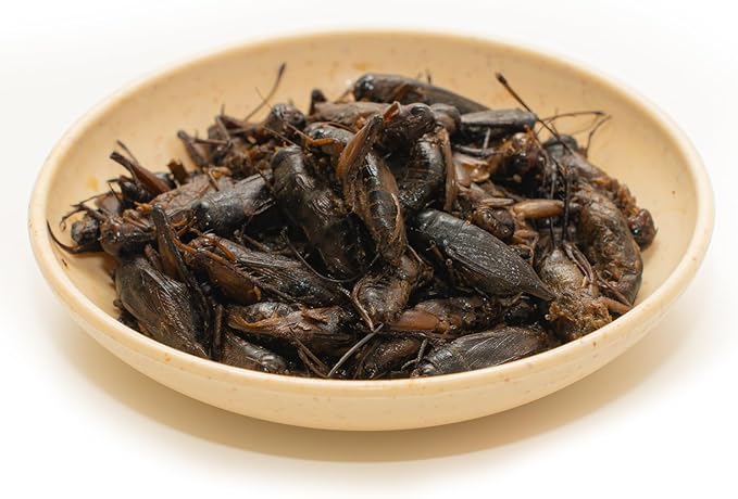 6 Pack Canned Crickets for Reptiles, Fish, Birds and Small Animals, Crickets, Healthy High Protein Treat, Reptile Bird Fish Food 1.2 Ounces Each