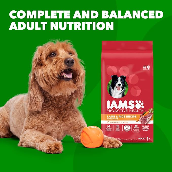 IAMS Minichunks Adult Dry Dog Food Lamb & Rice Recipe Dog Kibble, 30 lb. Bag