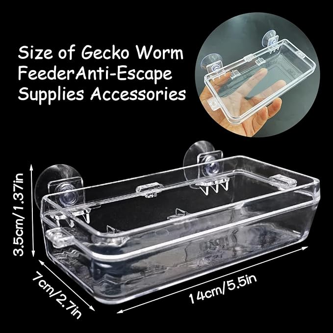 Tfwadmx 2 Pcs Chameleon Bowl, Reptile Feeding Food, Water Dish Gecko Worm Feeder Anti-Escape Chameleon Supplies Accessories for Lizard Bearded Dragon Snakes