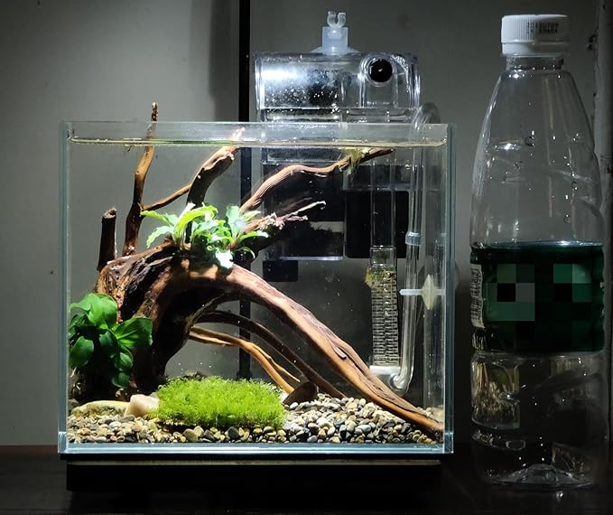 Small Nano Tall Rimless Tank, Small Glass Fish Tank, Small Betta Fish Tank, Small Aquarium, min Aquarium, Betta Tank (1.1Gallon 7.8x5.5x5.9inch/20x14x15cm)