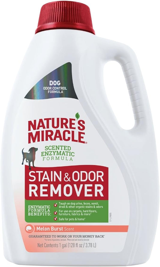 Nature's Miracle P-98153 Dog Stain and Odor Remover, 128 fl oz, Melon Burst Scent, Enzymatic Formula for Urine Stains, Feces Stains, Vomit Stains and Drool Stains, Odor Control