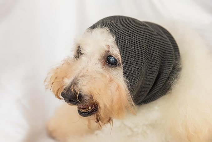 Dog Noise Cancelling Ear Muffs No Flap Dog Ear Protectors for Dogs Hoodie Wrap Quiet Headphones for dogs Grey M