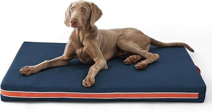 Bedsure Outdoor Waterproof Dog Bed with Heavy Duty Cover, Orthopedic Foam Supportive Dog Beds, Washable Dog Mat with Removable Cover for Large Dogs (44"x32", Navy Blue)