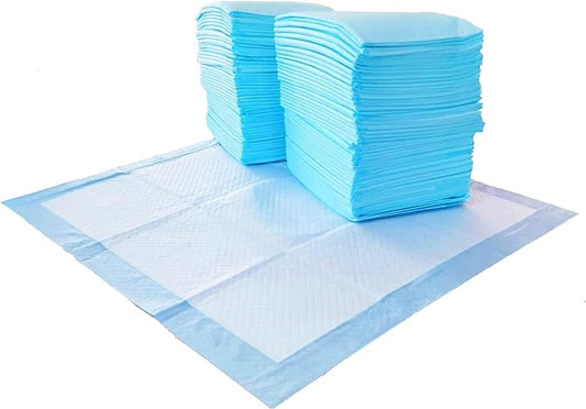 Amazon Basics Dog and Puppy Pee Pads with 5-Layer Leak-Proof Design and Quick-Dry Surface for Potty Training, Regular, 22 x 22 Inch, Scented - Pack of 150, Blue