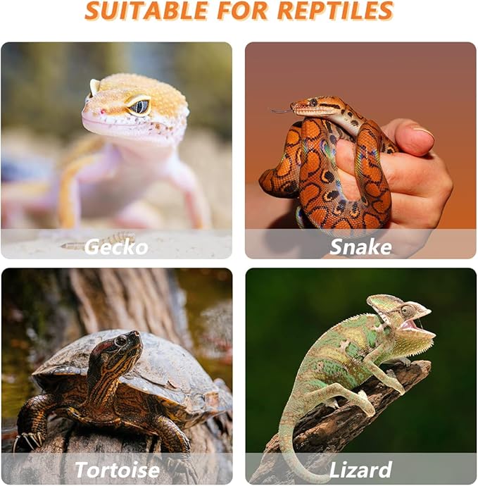 14 Grids Reptile Breeding Box, Egg Hatching Incubator Reptile Incubator for Hatching Egg, Snake, Lizards, Turtle, Lions Mane, Gecko Without Thermometer