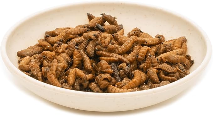 6 Pack Canned Black Soldier Fly Larvae for Reptiles, Fish, Birds and Small Animals, BSF, Healthy High Protein Treat, Reptile Bird Fish Food 1.2 Ounces Each