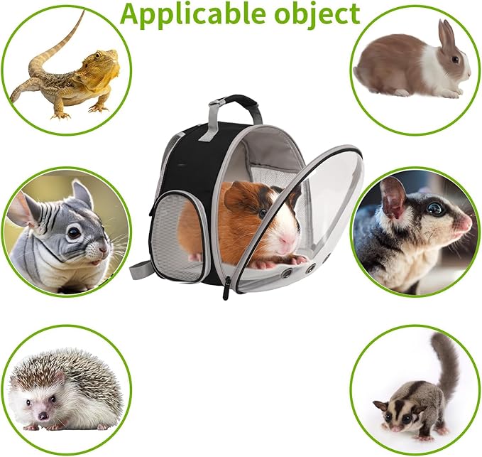 Guinea Pig Carrier,Guinea Pig Carrier for 2,Reptile Travel Carrier for Lizards Sugar Glider Hedgehog Rat Parrot Birds (Black-YLR Floral, Backpack+Triangle HMK)