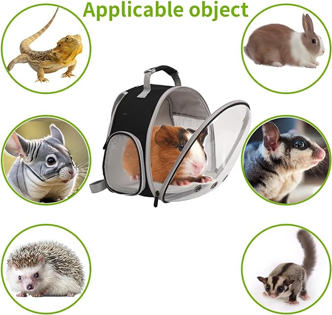 Guinea Pig Carrier,Guinea Pig Carrier for 2,Reptile Travel Carrier for Lizards Sugar Glider Hedgehog Rat Parrot Birds (Black-YLR Floral, Backpack+Triangle HMK)