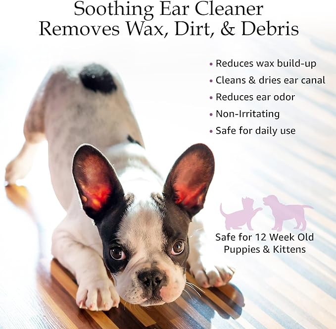 Ear Cleansing Solution for Dogs and Cats - Pet Ear Cleaner Removes Odor & Wax - Deodorizing Dog Ear Cleaner Solution with Aloe & Vitamins - Sweet Pea & Vanilla Scent - 8 oz