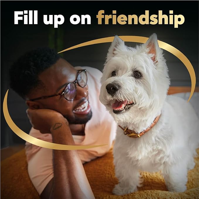 Cesar Filets in Gravy Wet Dog Food Wood-Grilled Chicken Flavor, 1.76 oz. Mini-Pouch, 20 Pack